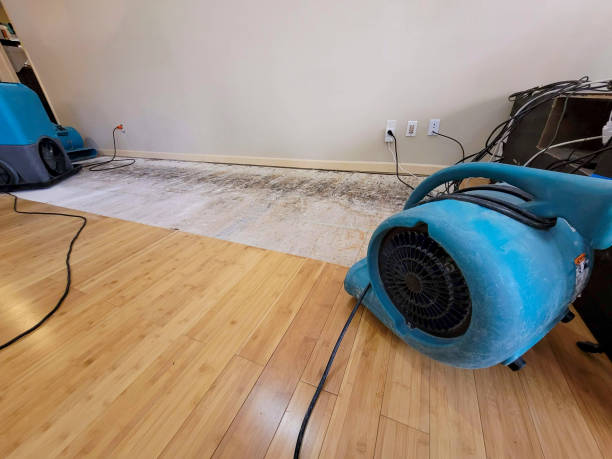 Professional Water Damage Repair technician working in Glen Burnie, MD